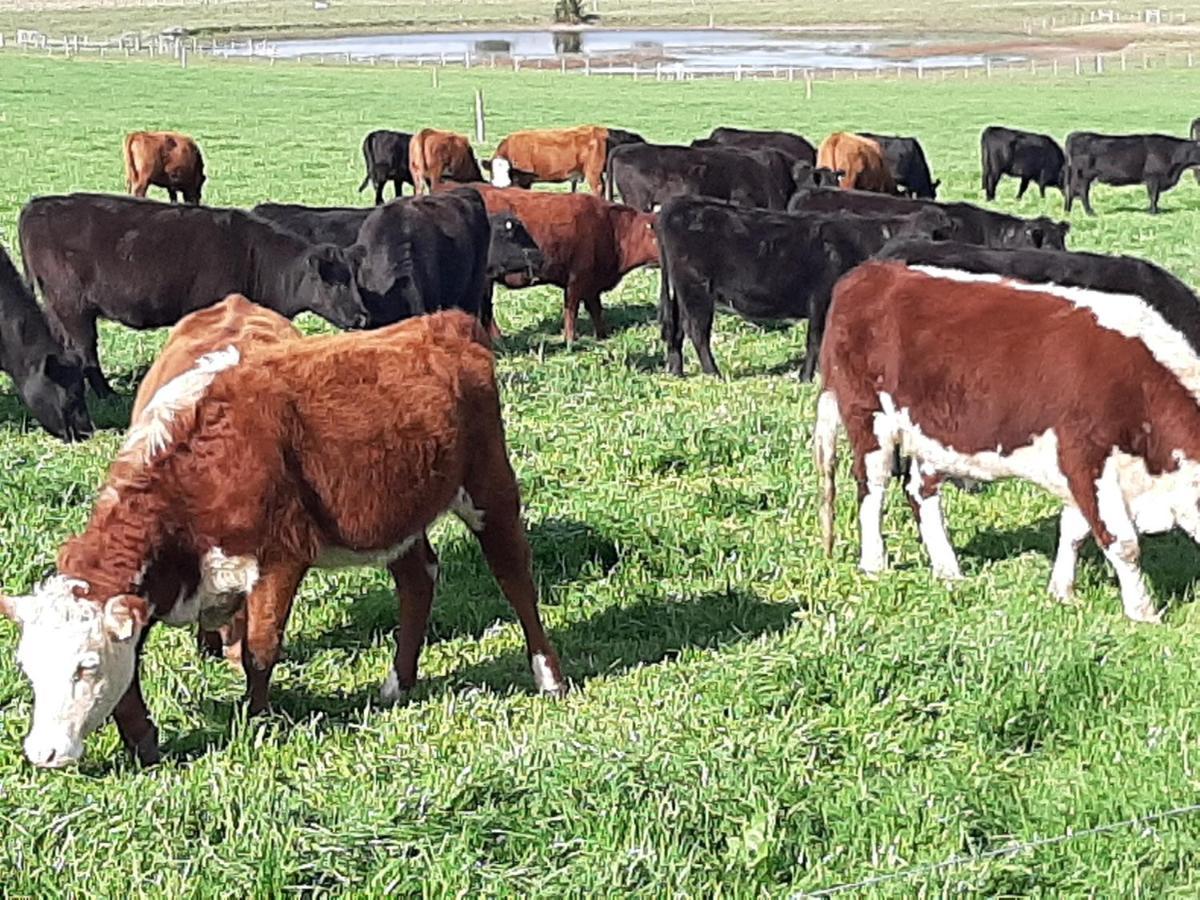 Estancia Renacimiento Atlántida エクステリア 写真